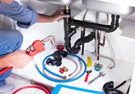 Best Plumbing System Maintenance  in Woodridge, IL